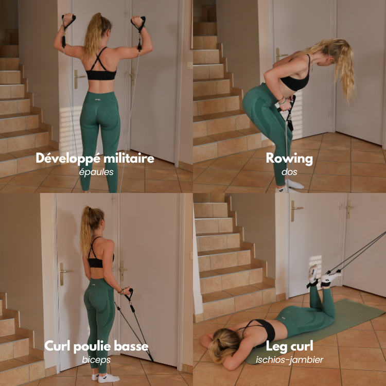 Élastiques de musculation - LyndonGym