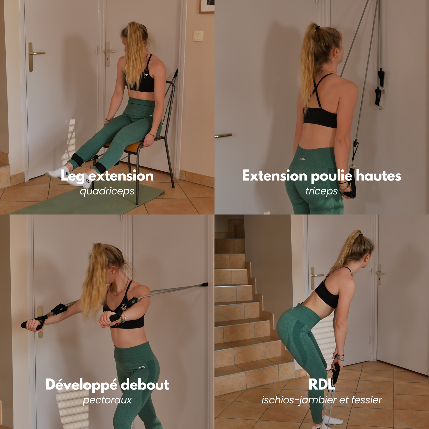 Élastiques de musculation - LyndonGym