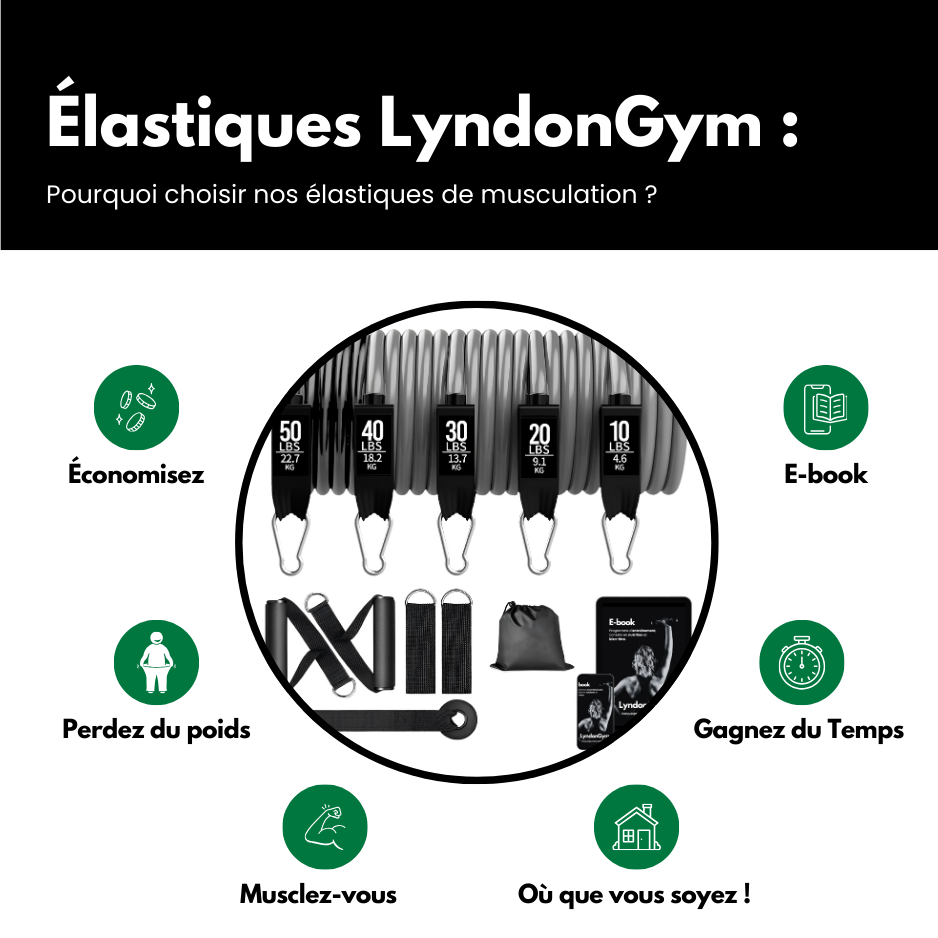 Élastiques de musculation - LyndonGym