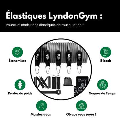 Élastiques de musculation - LyndonGym